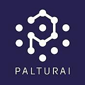 palturai solution (formerly kantwert) logo