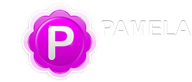 pamela for skype logo