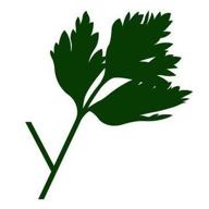 parsley logo