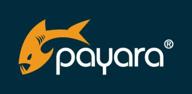 payara server logo