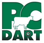 pcdart логотип