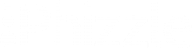 phizzle logo