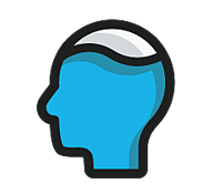 pool brain logo