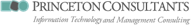 princeton consultants inc. logo