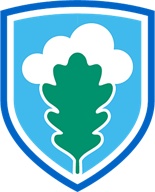 rootsafe managed cloud backup logo