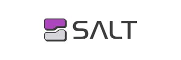 salt security 로고