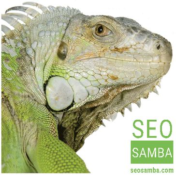 sambasaas 로고