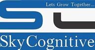 skycognitive логотип