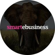smartebusiness logo