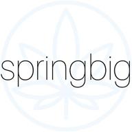 springbig логотип