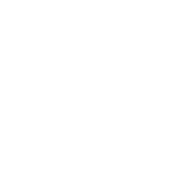 stella rising логотип