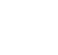tdox logo