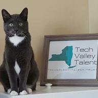 tech valley talent, llc logo