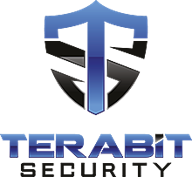 terabit security logo