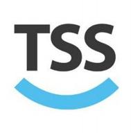 total server solutions logo