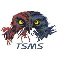 tsms логотип