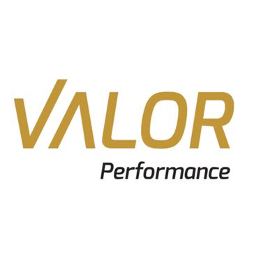valor 로고