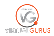 virtual gurus логотип
