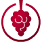 vitipad logo