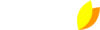 voximal logo