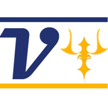 vrisini infotech 로고