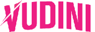 vudini logo