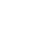 wings erp fmcg логотип