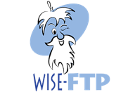 wise-ftp logo