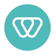 wiserbrand логотип