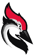 woodpecker.co logo