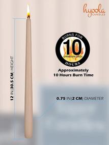 img 3 attached to 100 Pack Of 12 Inch Unscented Sahara Beige Taper Candles - 10 Hour Burn Time | Hyoola Bulk