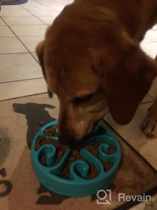 img 1 attached to Wangstar Slow Feeder Bowl For Dogs And Cats - Fun Maze Puzzle Bowl With Bloat Stop Feature, Anti-Skid Design - Blue Color, 8'' X 1.9'' Size review by Youssef Coolidge