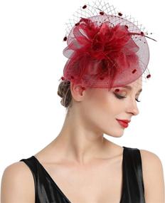 img 1 attached to 👒 Fascinators Kentucky Headband: Elegant Feather Hairband for Women's Special Occasion Accessories