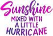 wsq sunshine little hurricane sticker logo