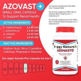 img 3 attached to 🐾 Azovast Plus Kidney Health Supplement: Enhance Kidney Function & Manage Renal Toxins - 120ct Capsule for Dogs & Cats - NO Refrigeration Required - Renal Care Made Easy (U.S.A)