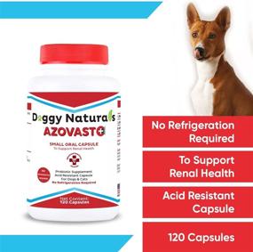 img 1 attached to 🐾 Azovast Plus Kidney Health Supplement: Enhance Kidney Function & Manage Renal Toxins - 120ct Capsule for Dogs & Cats - NO Refrigeration Required - Renal Care Made Easy (U.S.A)