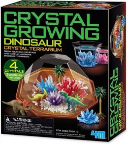 img 3 attached to 4M Crystal Growing Dinosaur Terrarium DIY STEM Kit For Kids - Educational Science Experiment Lab 3854