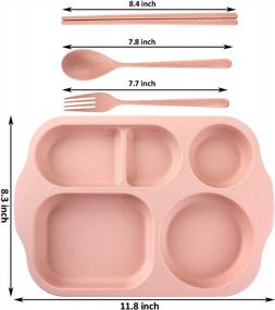img 3 attached to Nicunom 4 Pack Unbreakable Divided Plates, BPA Free Section Plates For Toddlers Kids Children Adults, 5-Compartment Wheat Straw Tray For Home School Nursery, Microwave Dishwasher Safe