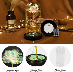 img 3 attached to Valentine'S Day Gifts For Her: Coindivi Galaxy Rose Flower Gift, Glass Rose In LED Dome, Beauty And The Beast Enchanted Rose