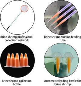 img 1 attached to Optimized Brine Shrimp Hatchery Kit with Silver Air Pump - Brine Shrimp Eggs Incubator Artemia Hatchery