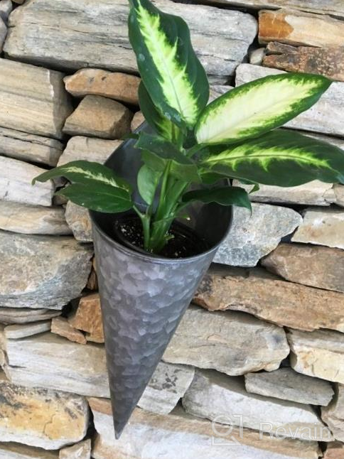 img 1 attached to Hallops Galvanized Wall Planters - Premium Farmhouse Metal Hanging Vase for Easter Flowers or Plants. Rustic Decor with Two (2) Large Tall Containers. Tin Style Bucket or Pocket Design. review by Fritz Marrero