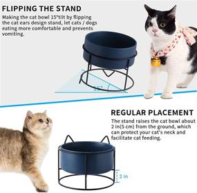 img 1 attached to ZONEYILA Raised Dog Cat Bowl, 15° Tilted Elevated Dog Bowls With Stand, Ceramic Basic Dog Bowls For Food And Water, Feeding For Puppy, Flat Faced Cats, Protect Cervical Spine, 32 OZ, Blue Bowl