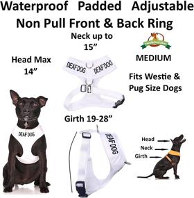 img 3 attached to Waterproof Adjustable Warning Prevents Accidents Cats