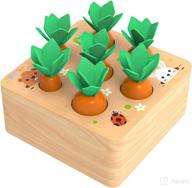 🥕 fun little toys educational wooden carrot harvest shape size sorting game for toddlers – developmental learning toys for 1-3 year old boys and girls logo