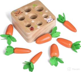 img 2 attached to 🥕 FUN LITTLE TOYS Educational Wooden Carrot Harvest Shape Size Sorting Game for Toddlers – Developmental Learning Toys for 1-3 Year Old Boys and Girls