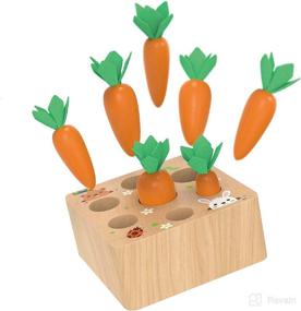 img 3 attached to 🥕 FUN LITTLE TOYS Educational Wooden Carrot Harvest Shape Size Sorting Game for Toddlers – Developmental Learning Toys for 1-3 Year Old Boys and Girls