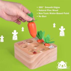 img 1 attached to 🥕 FUN LITTLE TOYS Educational Wooden Carrot Harvest Shape Size Sorting Game for Toddlers – Developmental Learning Toys for 1-3 Year Old Boys and Girls