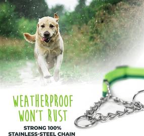 img 2 attached to 🐕 Mighty Paw Martingale Dog Collar 2.0: Stainless Steel Chain & Heavy Duty Buckle for Gentle & Effective Pet Training