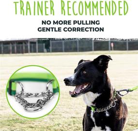 img 3 attached to 🐕 Mighty Paw Martingale Dog Collar 2.0: Stainless Steel Chain & Heavy Duty Buckle for Gentle & Effective Pet Training