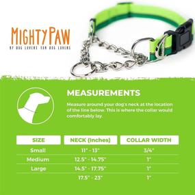 img 1 attached to 🐕 Mighty Paw Martingale Dog Collar 2.0: Stainless Steel Chain & Heavy Duty Buckle for Gentle & Effective Pet Training